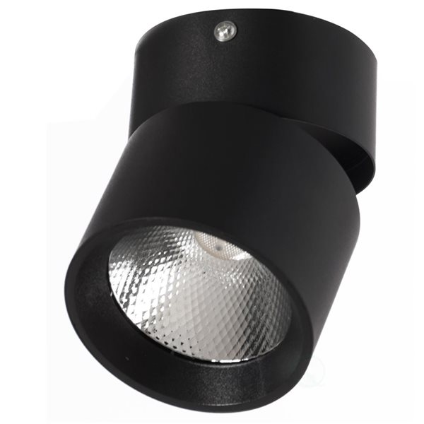 Quickway Imports 3500-Lumen 15 W Hardwired Black LED Spotlight