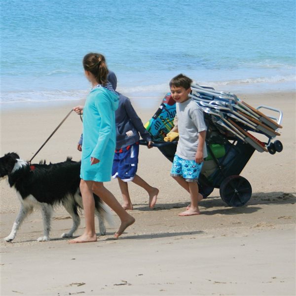 Rio Beach Wonder Wheeler Deluxe Strandwagen - 45 Kg Tragkraft, Faltbar, Marineblau