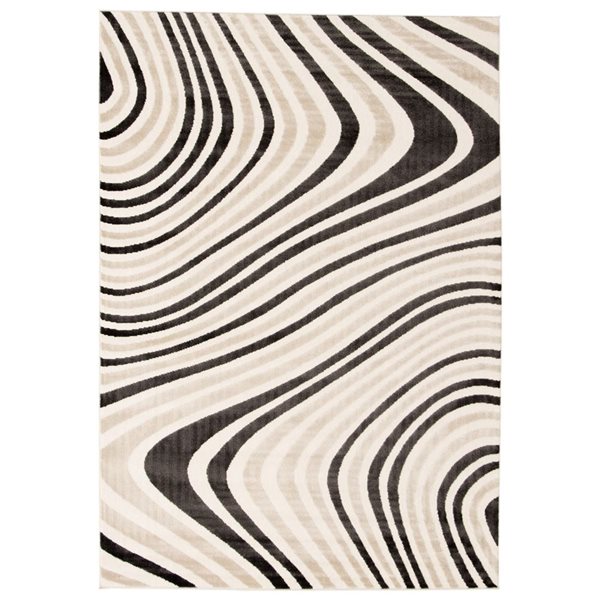 Tapis d'intérieur Zuma rectangulaire 4 pi x 6 pi au motifs abstraits taupe par Ecarpet