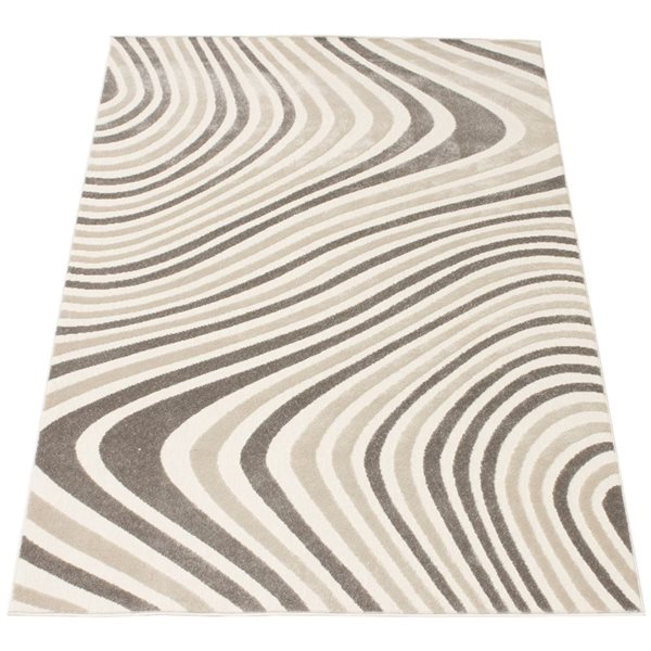 Ecarpet Zuma 5-ft x 7-ft Ivory Rectangular Indoor Abstract Area Rug