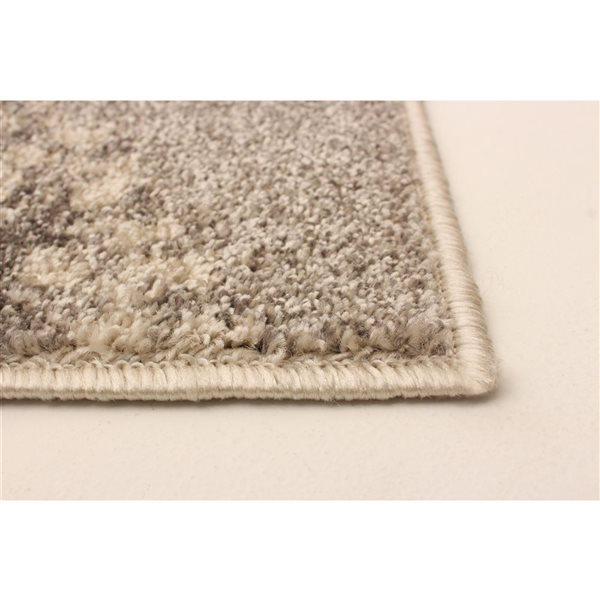 ECARPET Bellagio 4-ft x 5.5-ft Ivory and Blue Rectangular Area rug