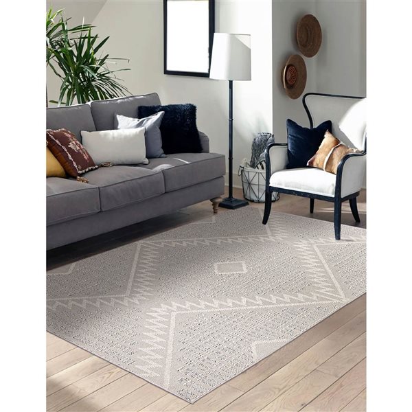 ECARPET Carmen 5-ft x 7-ft Grey Rectangular Area rug