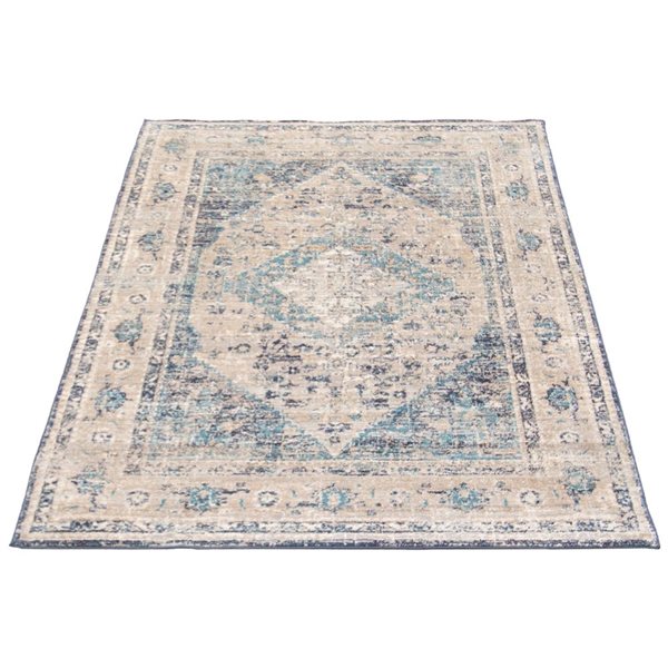 ECARPET Bolivia Bijar 5-ft x 8-ft Grey and Blue Rectangular Area rug