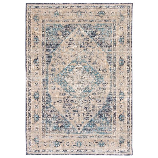 Tapis Bolivia Bijar par ECARPET rectangulaire gris et bleu de 5 pi x 8 pi