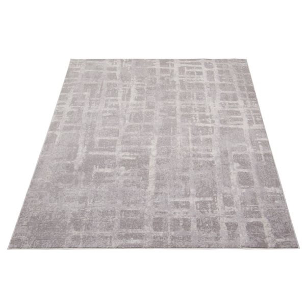 ECARPET Anitra 4-ft x 5.5-ft Light Grey Rectangular Area rug