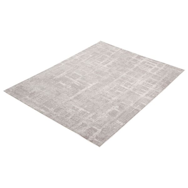 ECARPET Anitra 4-ft x 5.5-ft Light Grey Rectangular Area rug