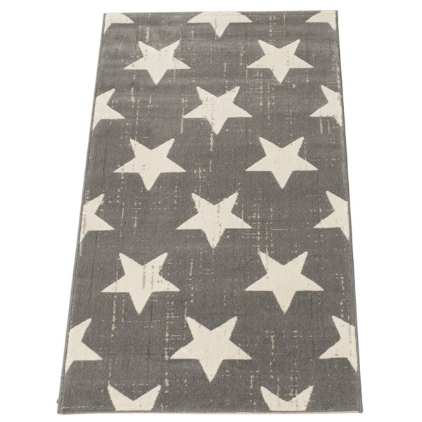 ECARPET Angel 3-ft x 5-ft Grey Rectangular Area rug