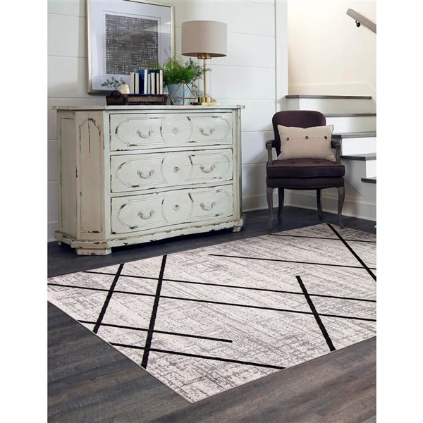 ECARPET Aqua Damali 6-ft x 9-ft Ivory and Black Rectangular Area rug