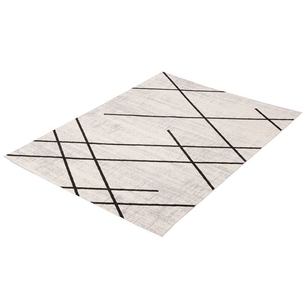 ECARPET Aqua Damali 6-ft x 9-ft Ivory and Black Rectangular Area rug