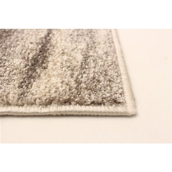 ECARPET Cora 8-ft x 10-ft Ivory and Red Rectangular Area rug