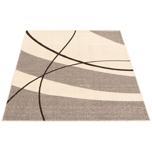 ECARPET Cosi 5.25-ft x 7.25-ft Grey Rectangular Area rug