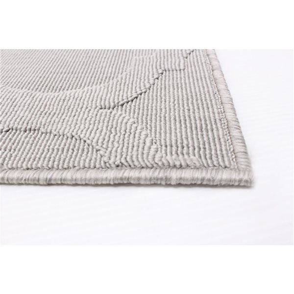 ECARPET Cambridge 3-ft x 5-ft Grey Rectangular Area rug