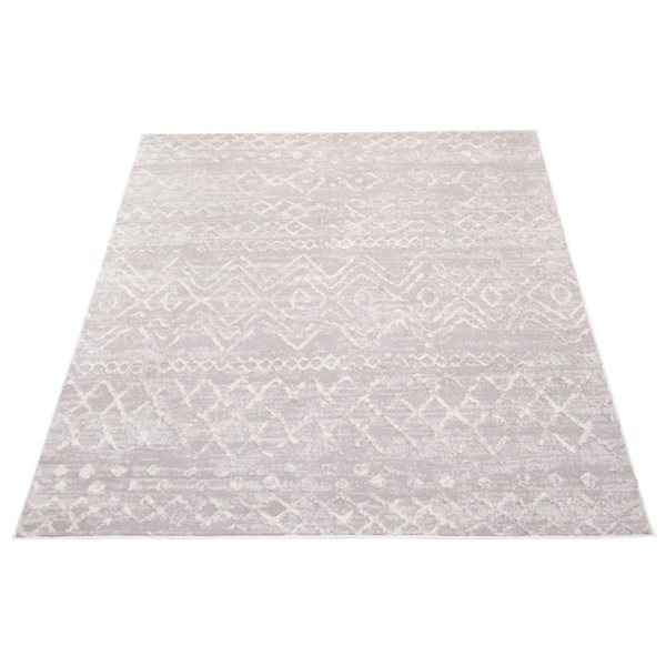 ECARPET Astrid 4-ft x 5.5-ft Grey Rectangular Area rug