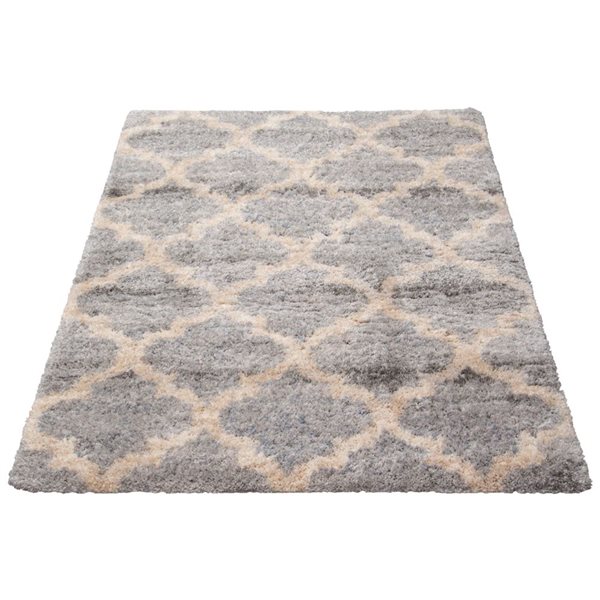 ECARPET Annica 5.25-ft x 7.25-ft Grey Rectangular Area rug