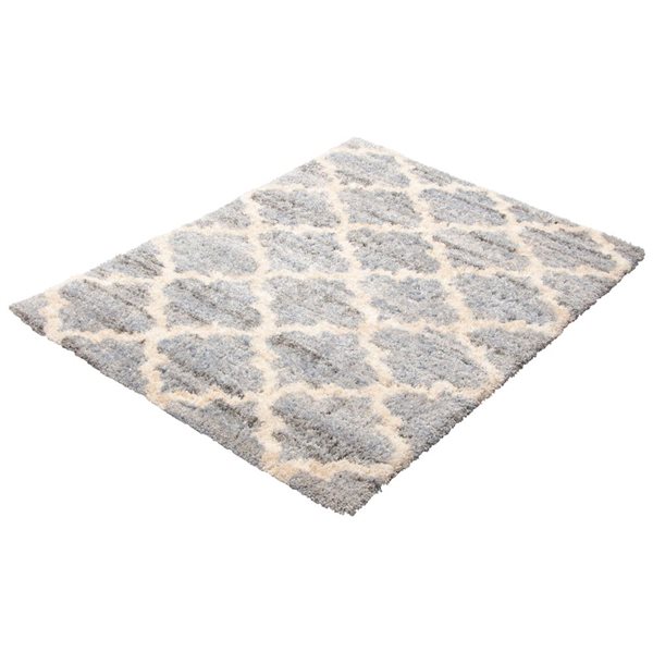 Tapis Annica par ECARPET rectangulaire gris et bleu pâle de 5,25 pi x 7,25 pi