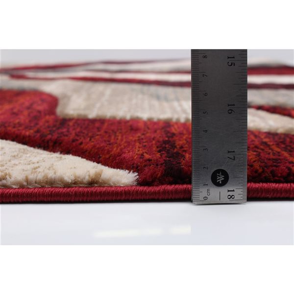 ECARPET Banu 4-ft x 5.5-ft Burgundy Rectangular Area rug