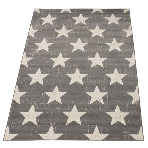 Tapis Angel par ECARPET rectangulaire gris de 4 pi x 5,5 pi