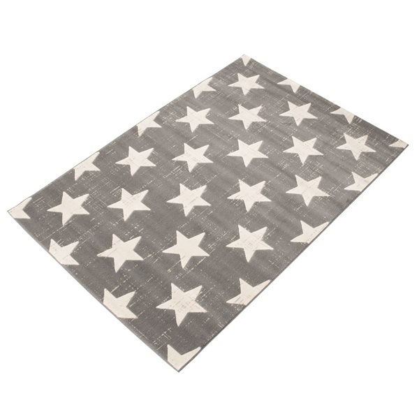 Tapis Angel par ECARPET rectangulaire gris de 4 pi x 5,5 pi