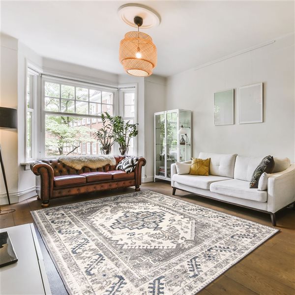 ECARPET Amelia 5.25-ft x 7.25-ft Grey Rectangular Area rug