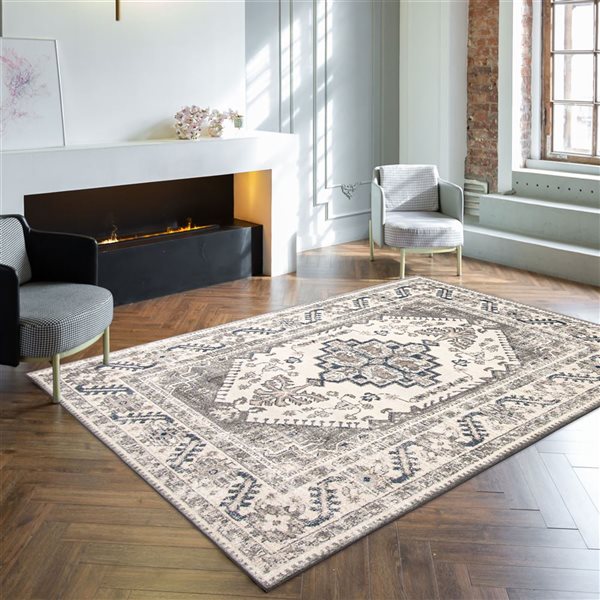 ECARPET Amelia 5.25-ft x 7.25-ft Grey Rectangular Area rug