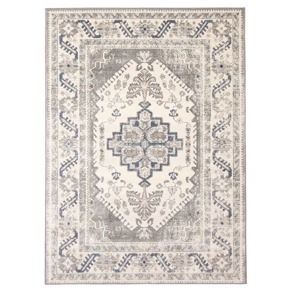 ECARPET Amelia 5.25-ft x 7.25-ft Grey Rectangular Area rug