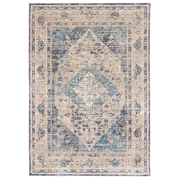 ECARPET Bolivia Bijar 5.25-ft x 7.5-ft Grey and Blue Rectangular Area rug