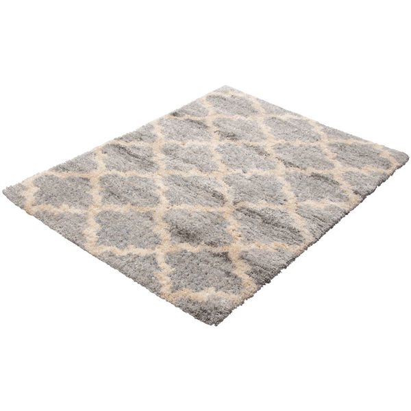 Tapis Annica par ECARPET rectangulaire gris de 4 pi x 5,5 pi