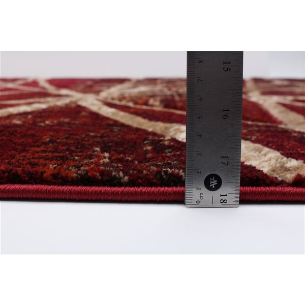 ECARPET Ceyla 4-ft x 5.5-ft Red Rectangular Area rug