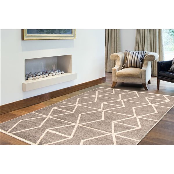 Tapis Ana par ECARPET rectangulaire gris et ivoire de 4 pi x 5,5 pi