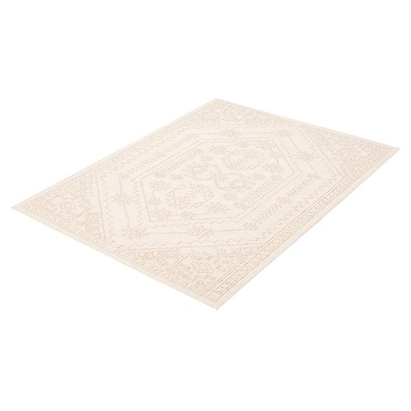 ECARPET Boheme 5-ft x 7-ft Beige Rectangular Area rug