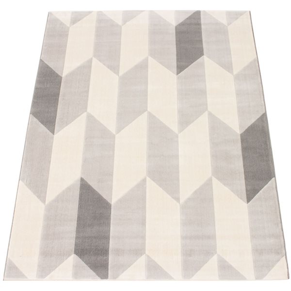 ECARPET Burke 4.5-ft x 6.5-ft Grey Rectangular Area rug