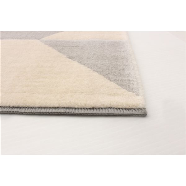 ECARPET Burke 4.5-ft x 6.5-ft Grey Rectangular Area rug