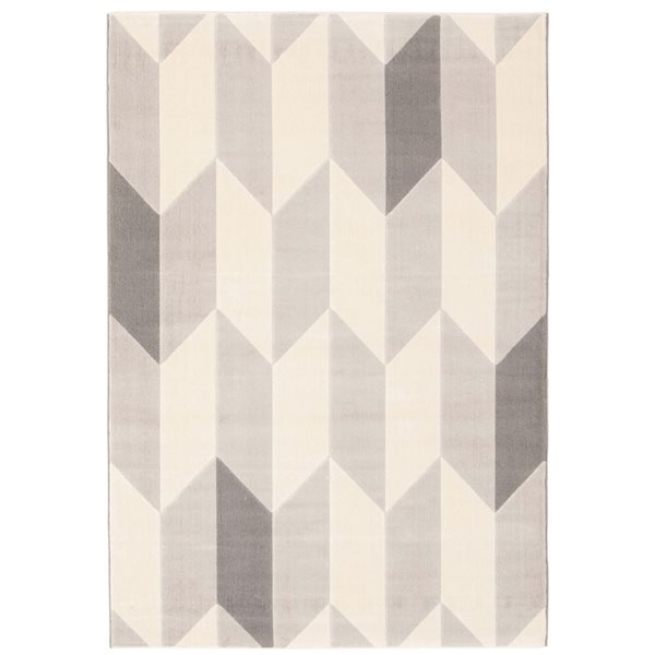 Tapis Burke par ECARPET rectangulaire gris de 4,5 pi x 6,5 pi