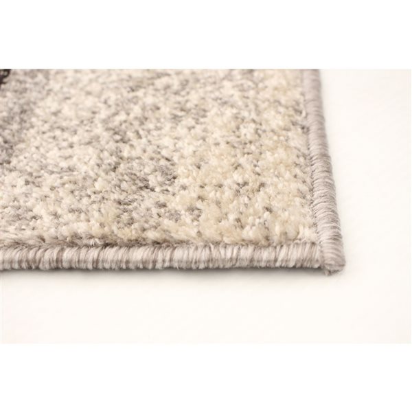 ECARPET Ayla 5.25-ft x 7.25-ft Grey and Blue Rectangular Area rug