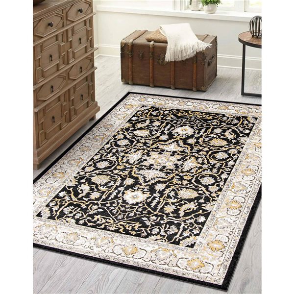 ECARPET Aqua Legacy 3-ft x 5-ft Black Rectangular Area rug