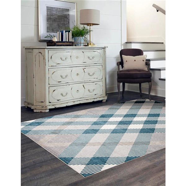 ECARPET Aqua Kors 6-ft x 9-ft Grey Rectangular Area rug