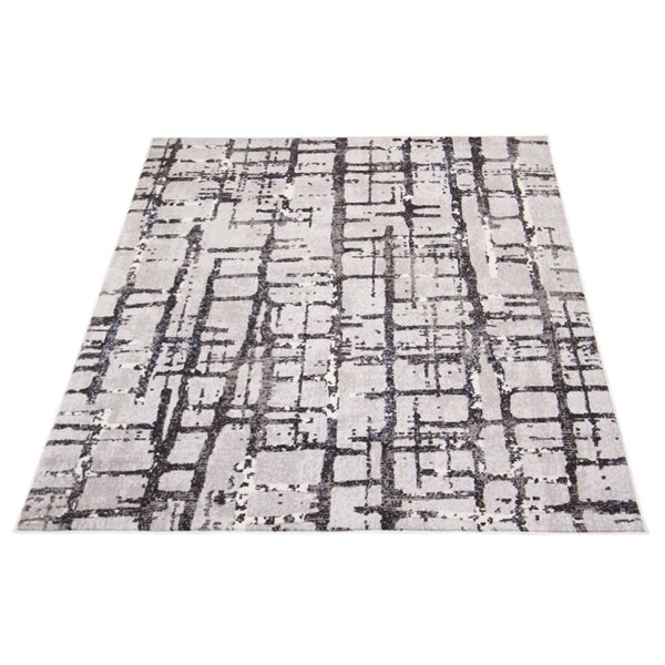 ECARPET Anitra 4-ft x 5.5-ft Grey Rectangular Area rug