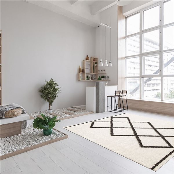 ECARPET Amara 5.25-ft x 7.5-ft Ivory Rectangular Area rug