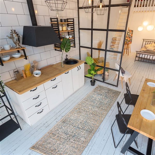 ECARPET Bahama Heriz 3-ft x 10-ft Beige and Blue Rectangular Runner