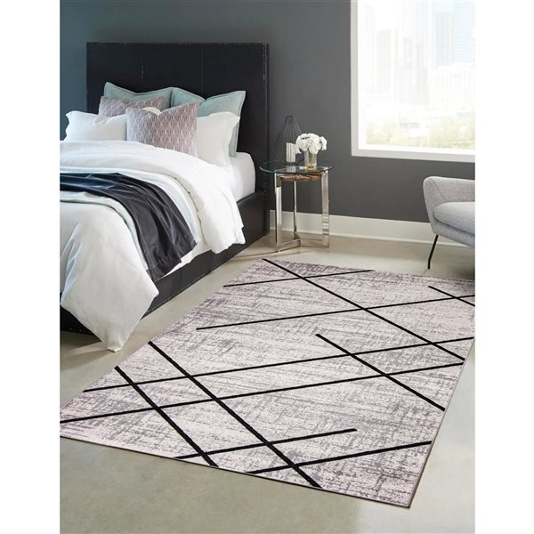 ECARPET Aqua Damali 3-ft x 5-ft Ivory and Black Rectangular Area rug