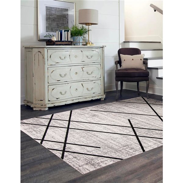 ECARPET Aqua Damali 3-ft x 5-ft Ivory and Black Rectangular Area rug