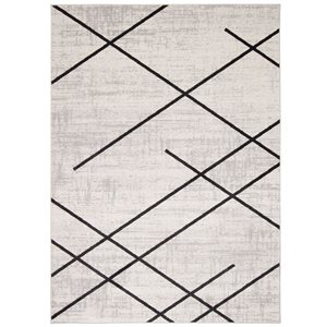 ECARPET Aqua Damali 3-ft x 5-ft Ivory and Black Rectangular Area rug