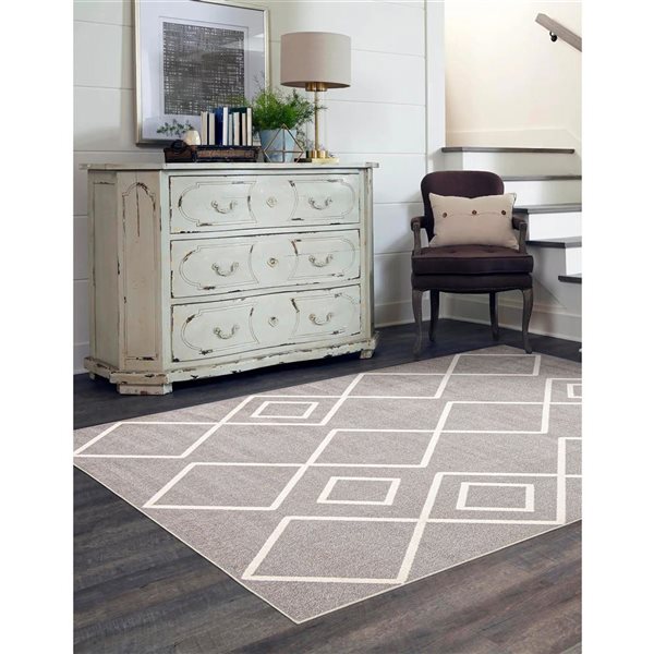 ECARPET Aqua Kenza 6-ft x 9-ft Grey Rectangular Area rug