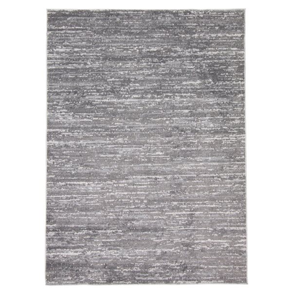 ECARPET Addel 5.25-ft x 7.25-ft Grey Rectangular Area rug