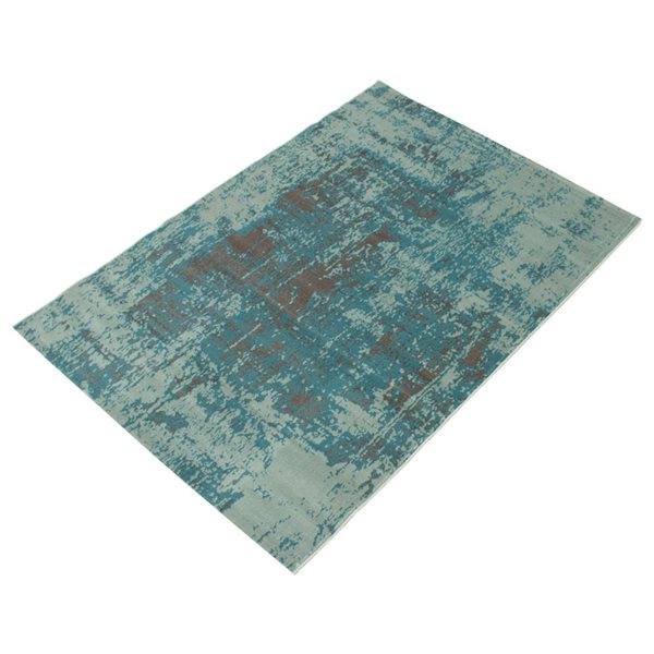 ECARPET Charlotte 4.5-ft x 6.5-ft Aqua Rectangular Area rug