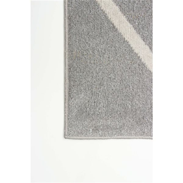 ECARPET Aqua Kenza 8-ft x 10-ft Grey Rectangular Area rug