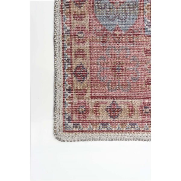 Tapis Afshar par ECARPET rectangulaire rouge de 8 pi x 10 pi