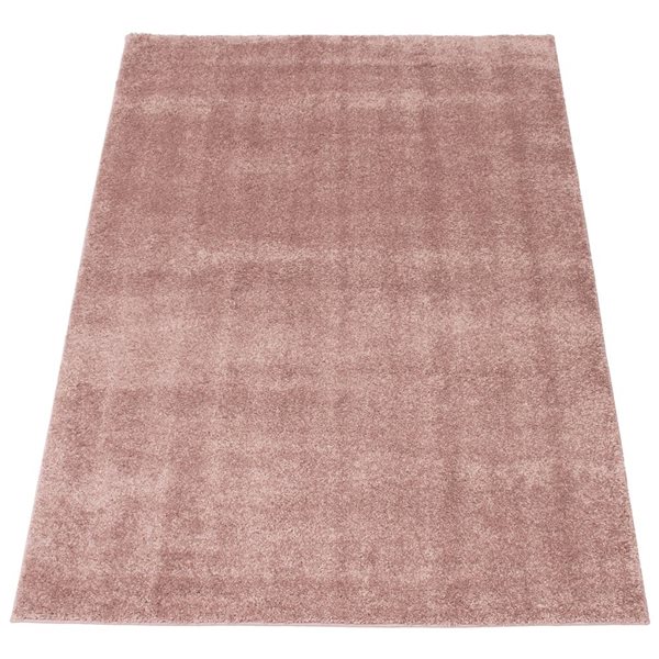 ECARPET Bellamy 8-ft x 10-ft Pink Rectangular Area rug