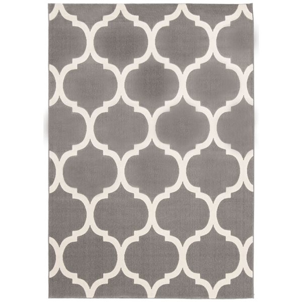 ECARPET Arbour 4-ft x 5.5-ft Grey Rectangular Area rug