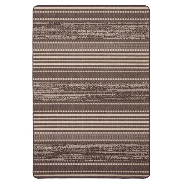 ECARPET Cabana 3.25-ft x 4.5-ft Chocolate Rectangular Area rug